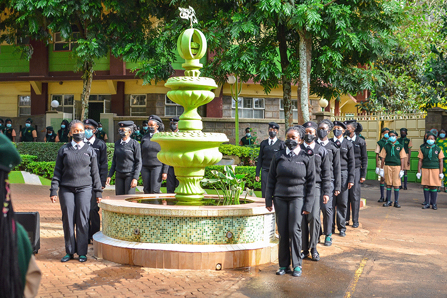 The Green Garden Schools Cover Image