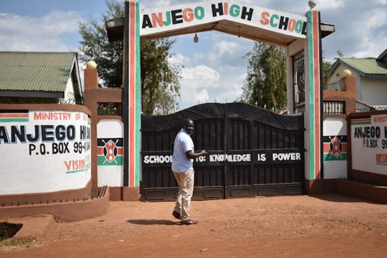 Anjego Mixed Secondary School cover image