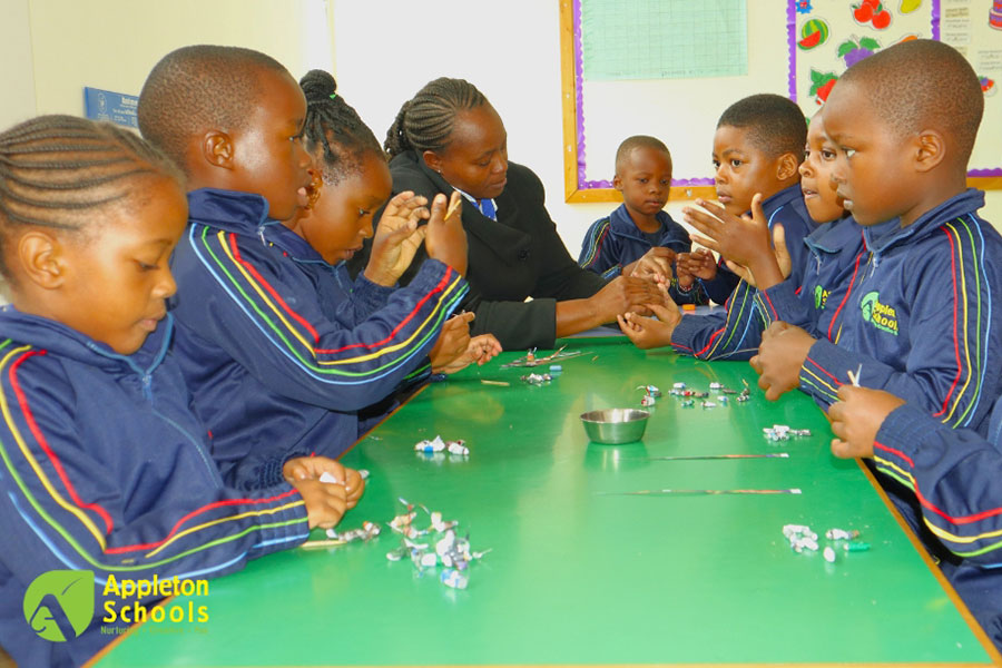 Appleton School Cover Image