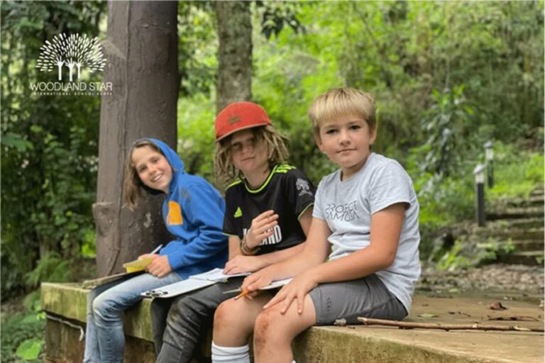 Woodland Star School cover image