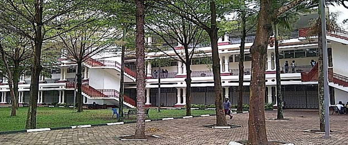 International University of East Africa | IUEA Cover Image