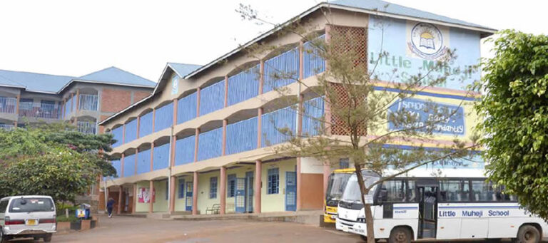 Little Muheji Kindergarten and Primary School cover image
