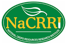 National Crops Resources Research Institute (NACRRI) Logo
