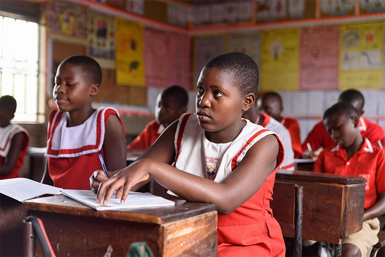 Rising Star Junior School Cover Image