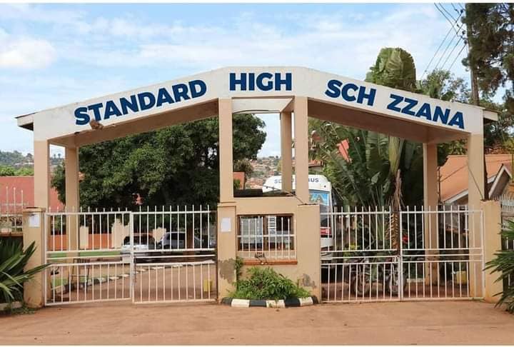 Standard High School-Zzana Cover Image