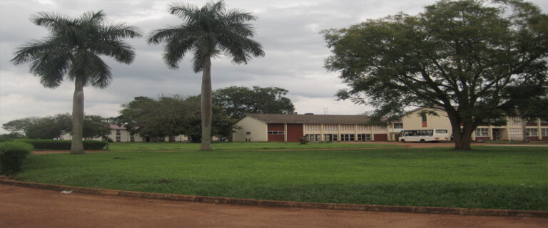 Uganda Cooperative College Kigumba (UCCK) cover image