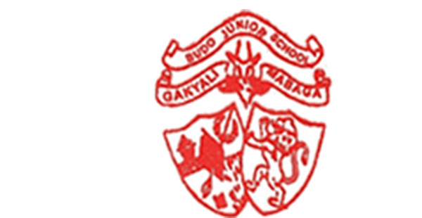 Budo Junior School Logo