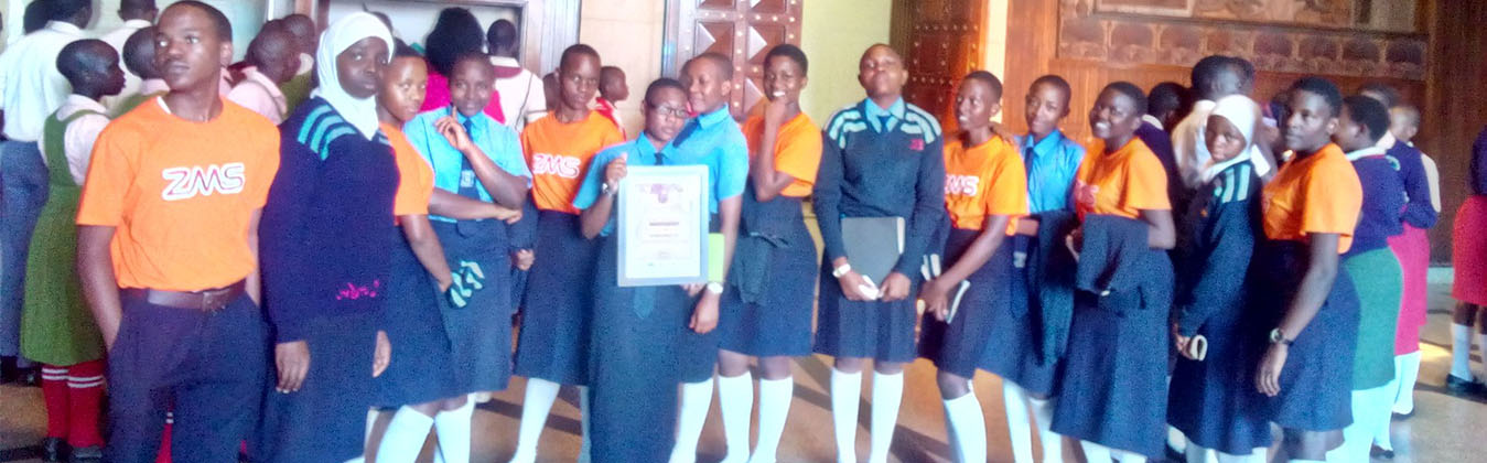 Zana Mixed School Cover Image