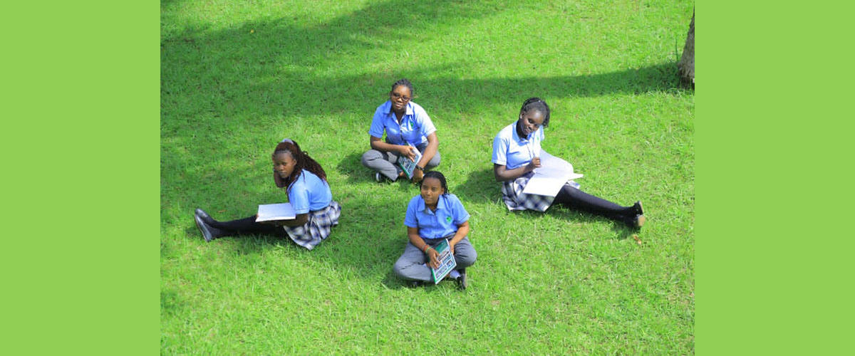 Hana international School Cover Image