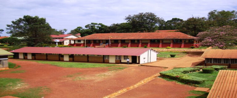 Jinja College | JICO cover image