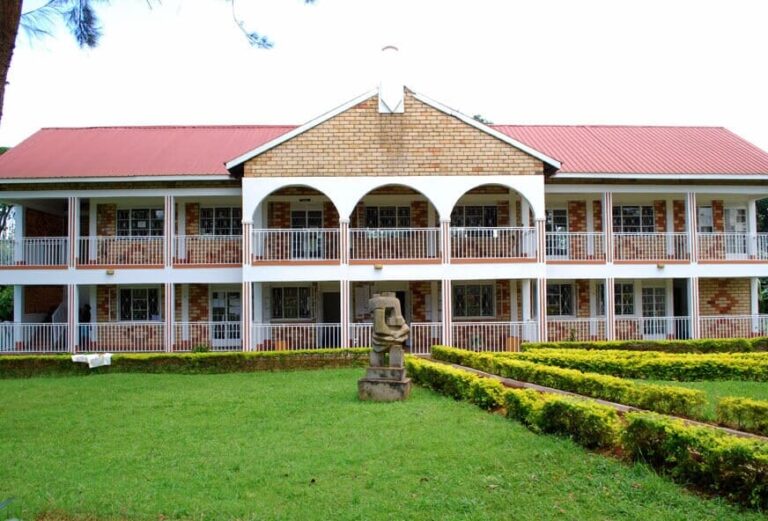 Michelangelo College of Creative Arts Kasubi cover image