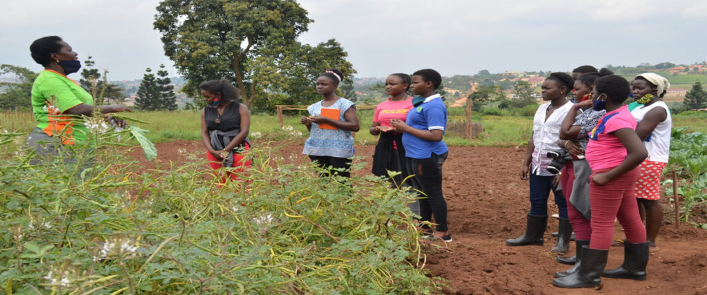 Mukono Zonal Agricultural Research And Development Institute