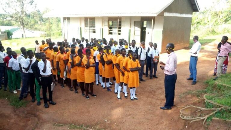 Green Shoots Secondary School cover image