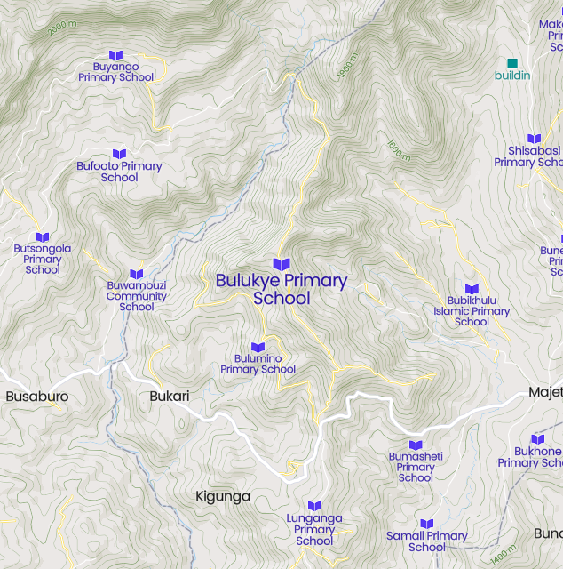 Bulukye Primary School Cover Image