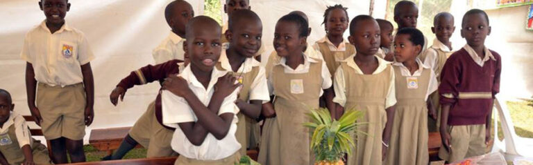 Cornerstone Primary School cover image