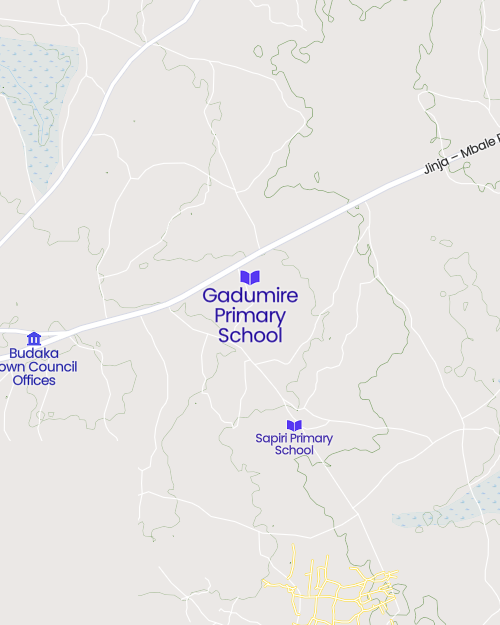 Gadumire Primary School Cover Image