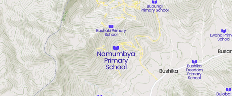 Namumbya Primary School cover image