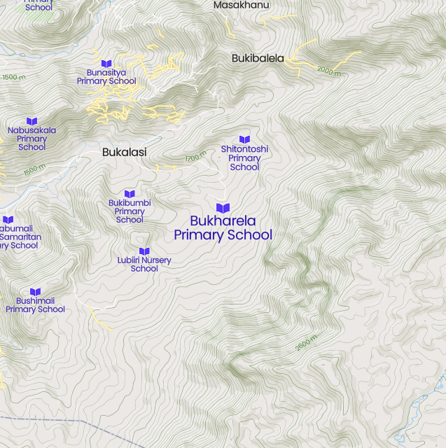 Bukhalera Primary School Cover Image