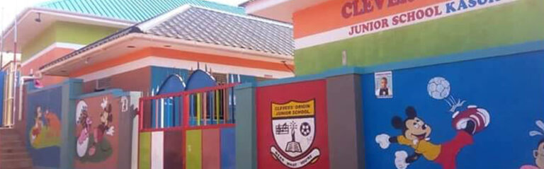 Clevers Origin Junior School cover image