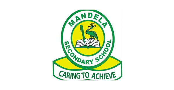 Mandela Secondary School Logo