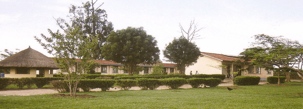 Nile University