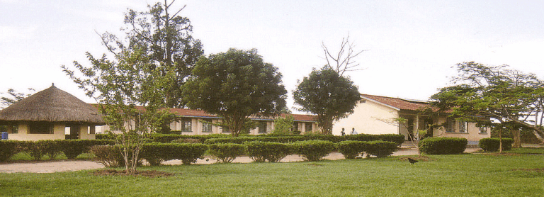 Nile University cover image