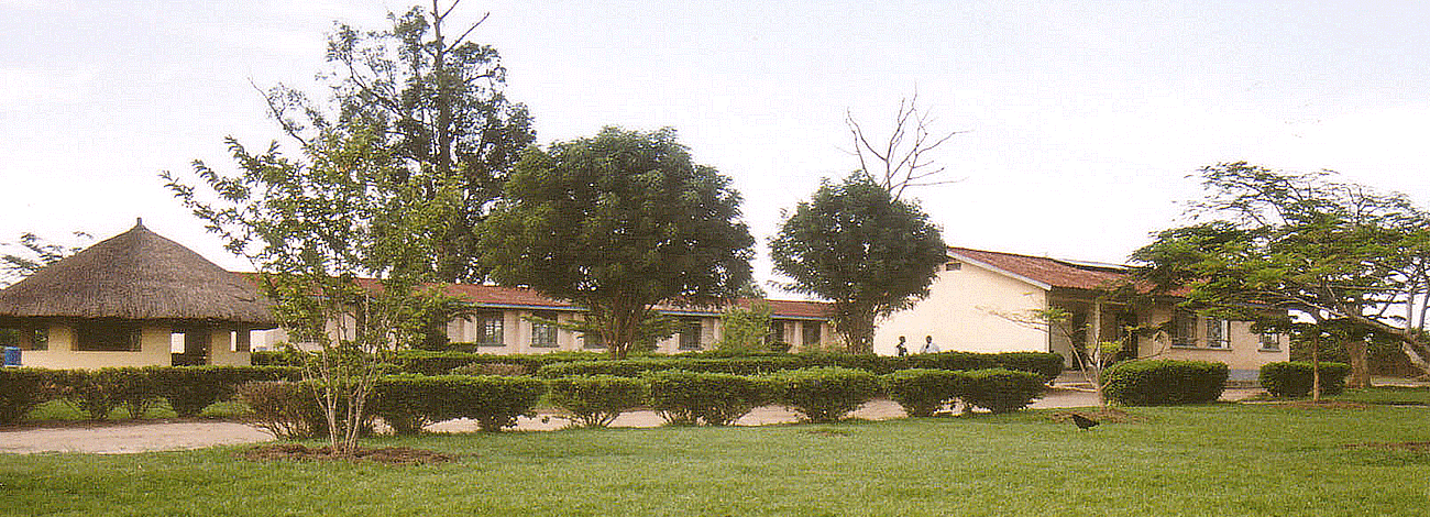 Nile University Cover Image