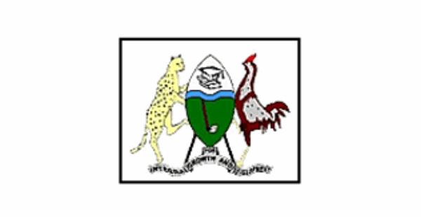 Nile University Logo