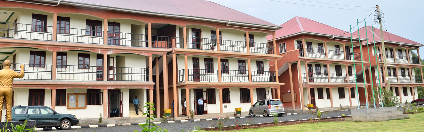 Fins Medical University (FMU) Cover Image