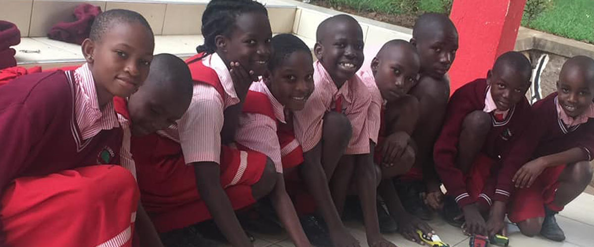 Brain Tree Primary School Cover Image