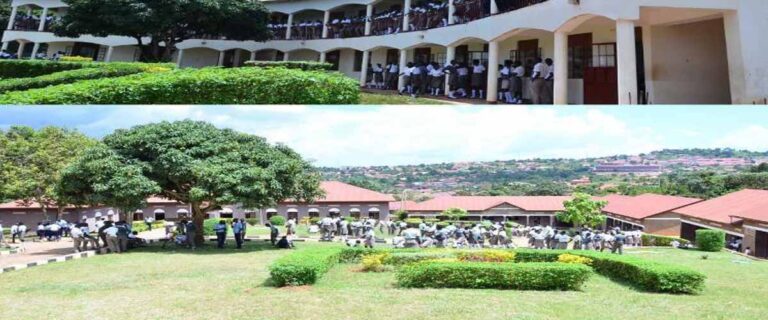 Kings Way High School cover image