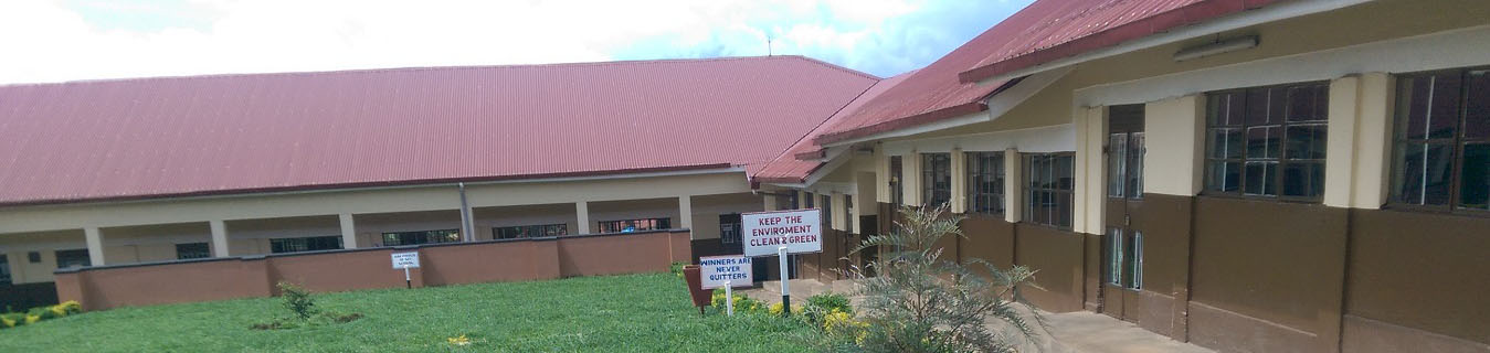 Sir Apollo Kaggwa Primary School Kisaasi Cover Image