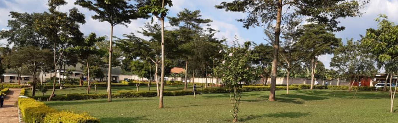 Ubuntu hill school Cover Image