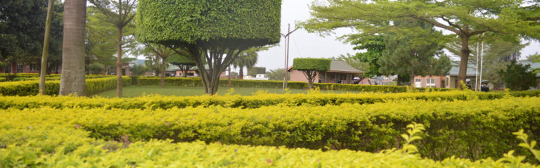 St. Peters’s Naalya cover image