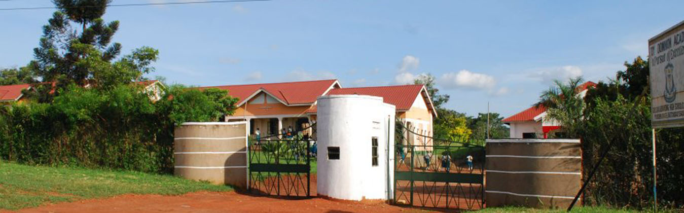 Joy Dominion Academy Cover Image