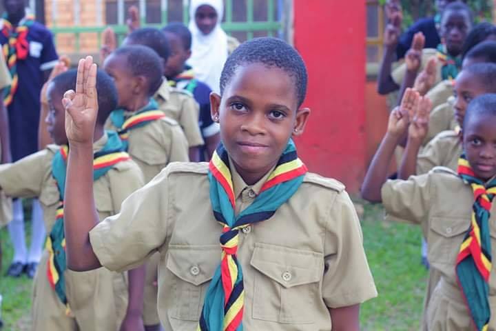 Pic-Hill Primary School Cover Image