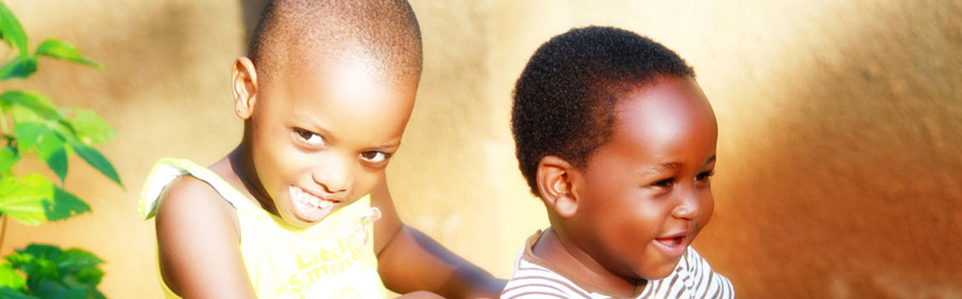 The Cradle Cover Image