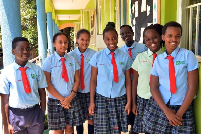 Taibah International School (TIS) | Junior Section cover image