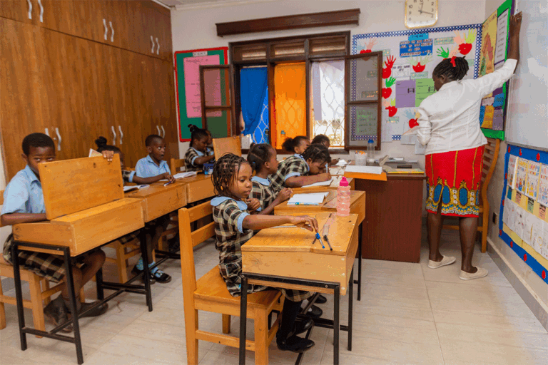 The Ark International School cover image
