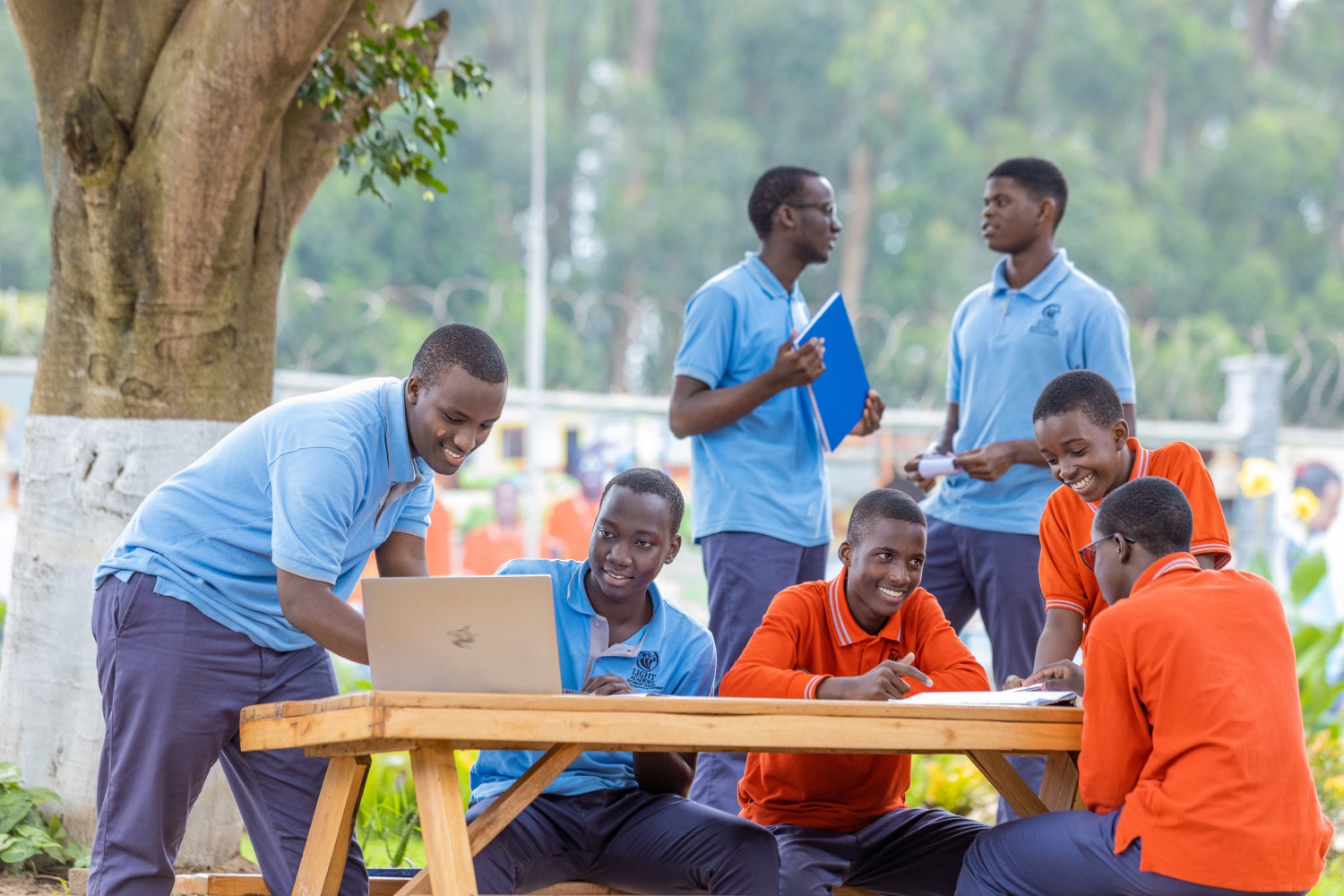 Turkish Light Academy Cover Image