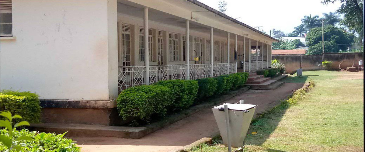 Mbogo College School Cover Image