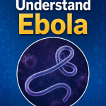 Understand Ebola