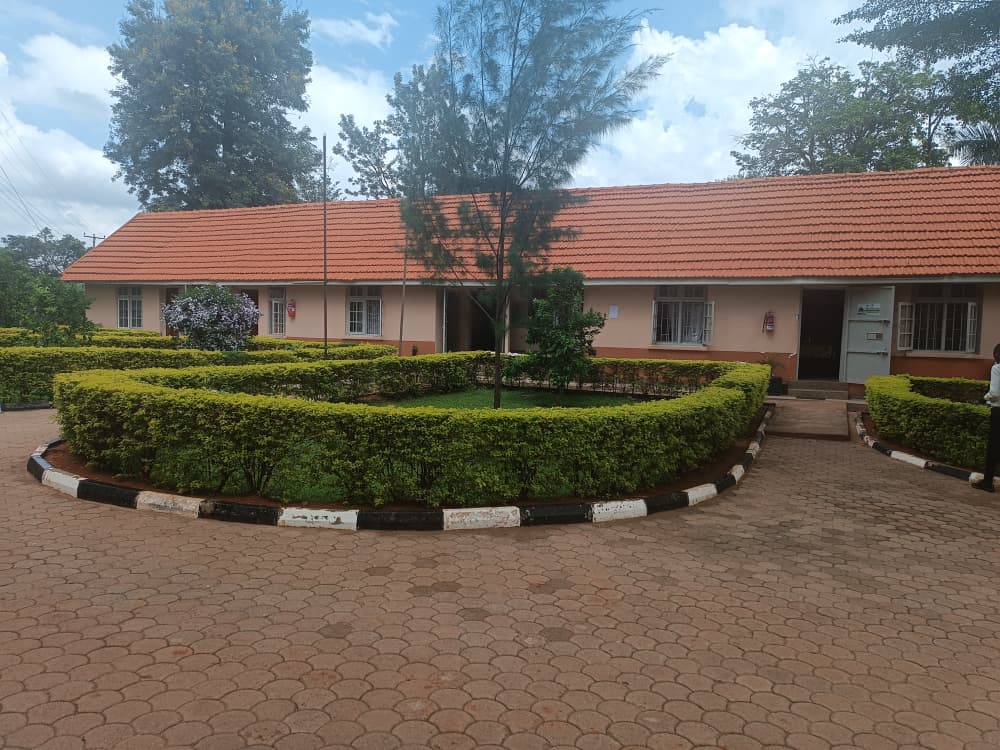 Mbale College of Health Sciences